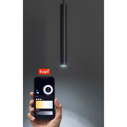 Rabalux - Lampadario a sospensione con filo LED dimmerabile per sistema ferroviario monofase LED/5W/24V 2700-5500K Wi-Fi Tuya nero