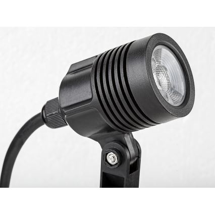 Rabalux - Lampada LED da esterno LED/3W/230V IP65