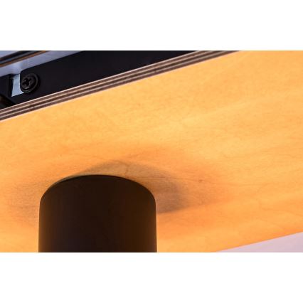 Rabalux - Plafoniera 3xE27/40W/230V 18x44 cm