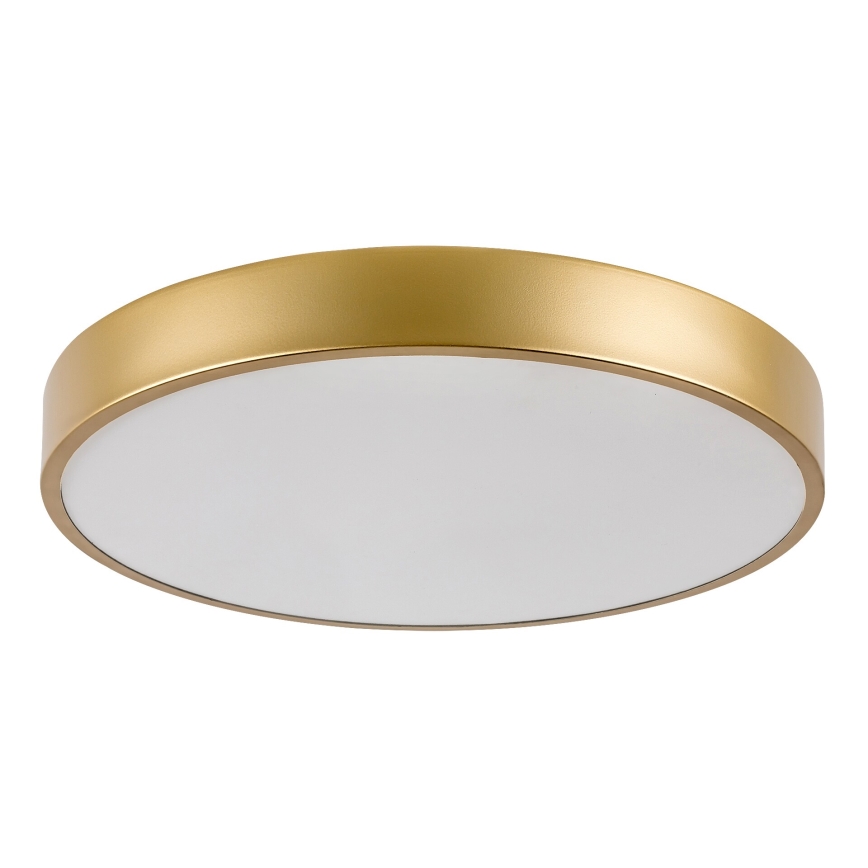 Rabalux - Plafoniera LED LED/36W/230V 3000K