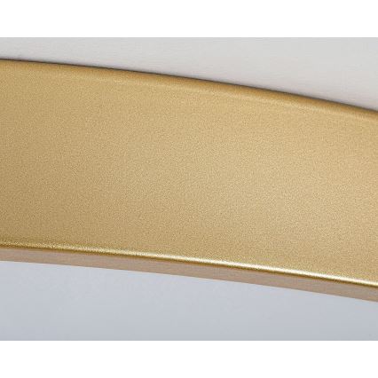 Rabalux - Lampada da soffitto dimmerabile a LED/60W/230V 3000-6000K con telecomando ø 60 cm