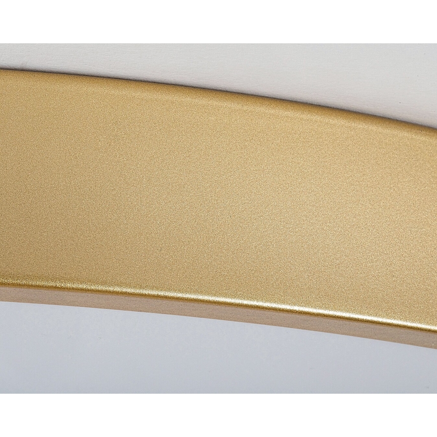 Rabalux - Lampada da soffitto dimmerabile a LED/60W/230V 3000-6000K con telecomando ø 60 cm