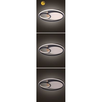 Rabalux - Plafoniera da soffitto dimmerabile a LED/81W/230V 3000K/4000K/6000K Ø 48 cm + telecomando