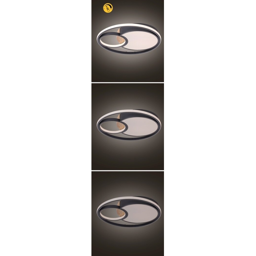 Rabalux - Plafoniera da soffitto dimmerabile a LED/81W/230V 3000K/4000K/6000K Ø 48 cm + telecomando