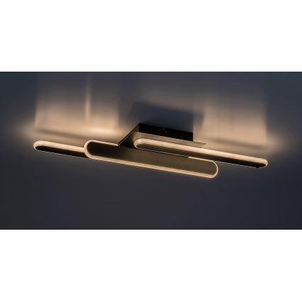 Rabalux - Plafoniera LED LED/18W/230V 3000/4000K