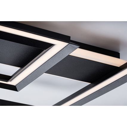 Rabalux - Plafoniera LED LED/48W/230V 3000K nero