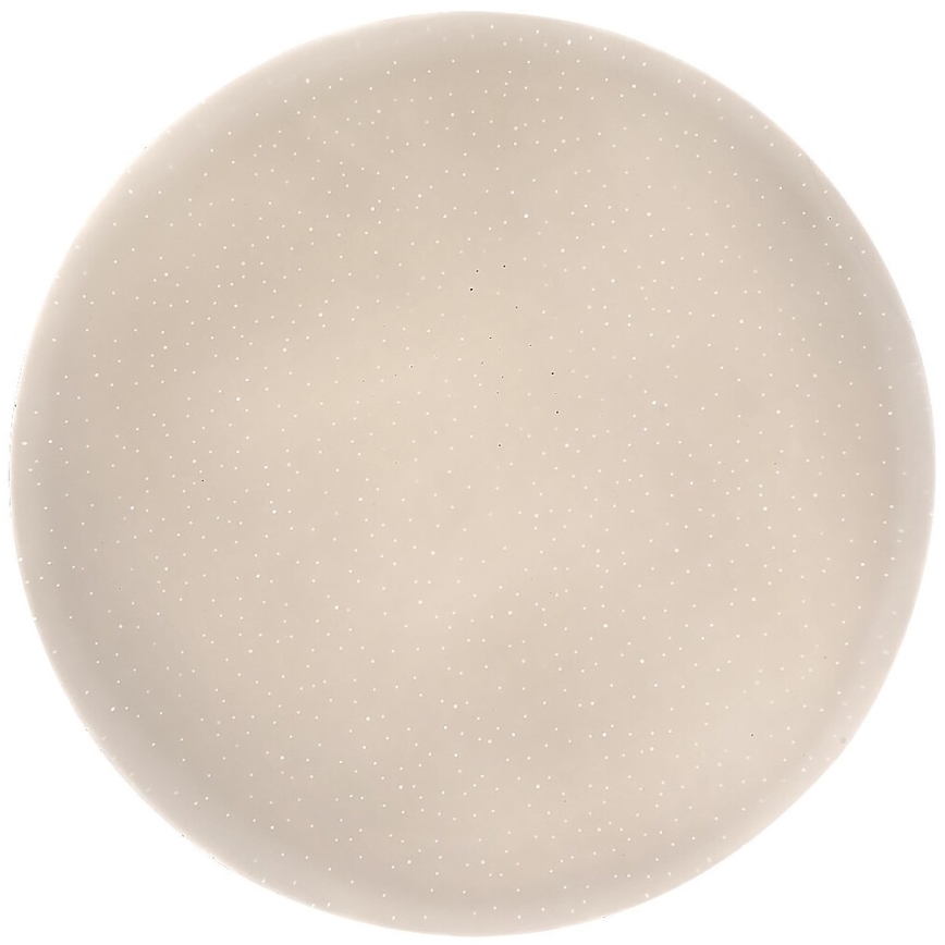 Rabalux - Plafoniera LED LED/12W/230V 4000K 25 cm