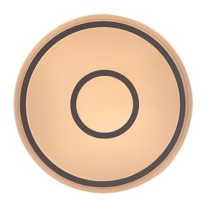 Rabalux - Lampada da soffitto LED/25W/230V 3000K