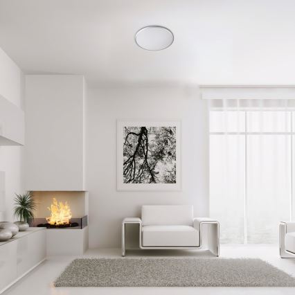 Rabalux - Lampada da soffitto LED LED/18W/230V 4000K argento 27 cm