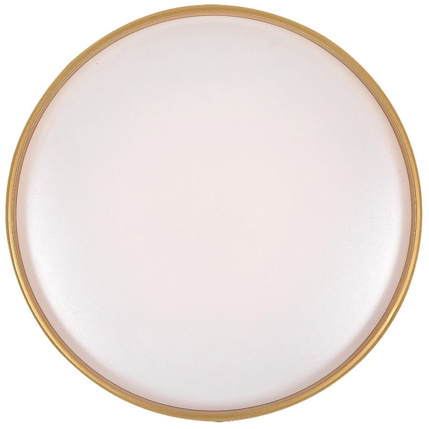 Rabalux - Plafoniera LED dimmerabile LED/24W/230V 3000-6500K + telecomando