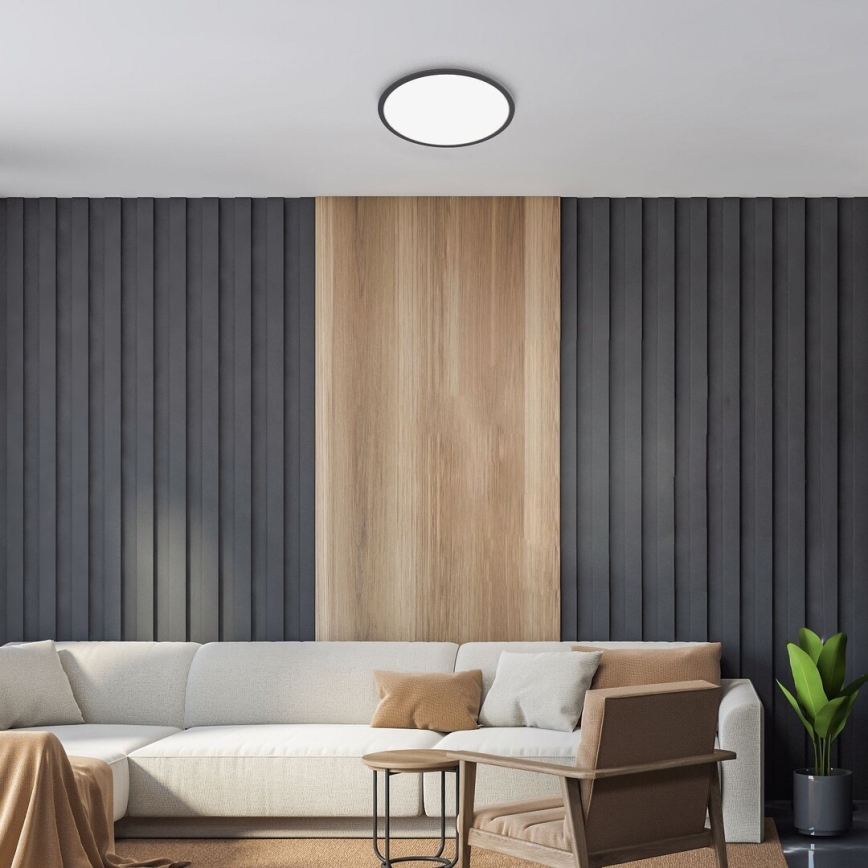 Rabalux - Plafoniera LED dimmerabile LED/22W/230V 3000K 42 cm
