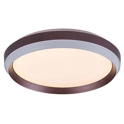 Rabalux - Plafoniera LED LED/24W/230V 3000K