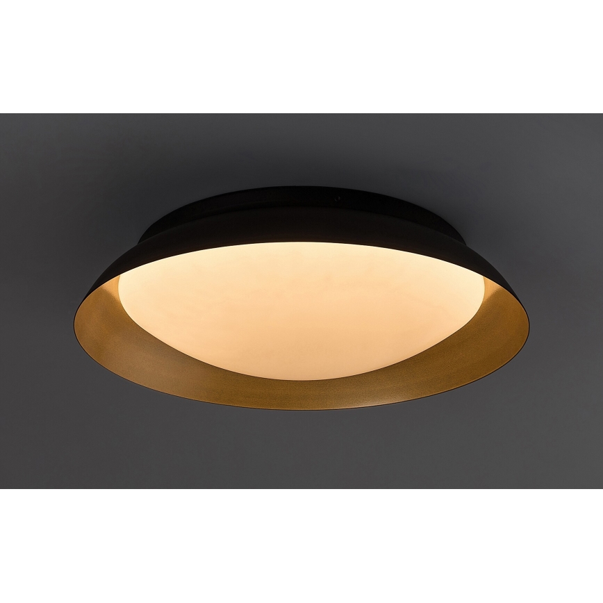 Rabalux - Plafoniera LED LED/20W/230V 3000K diametro 30 cm