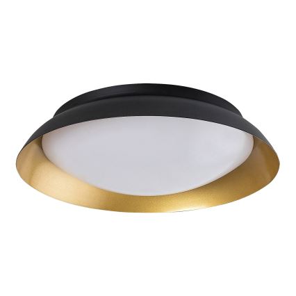 Rabalux - Plafoniera LED LED/20W/230V 3000K diametro 30 cm