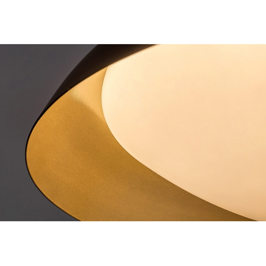 Rabalux - Plafoniera LED LED/20W/230V 3000K diametro 30 cm