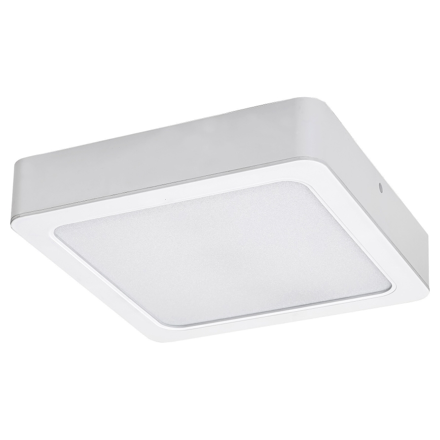Rabalux - Plafoniera LED LED/24W/230V 4000K 22x22 cm bianco