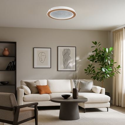 Rabalux - Plafoniera LED dimmerabile LED/24W/230V 3000-6500K Ø 40 cm + telecomando