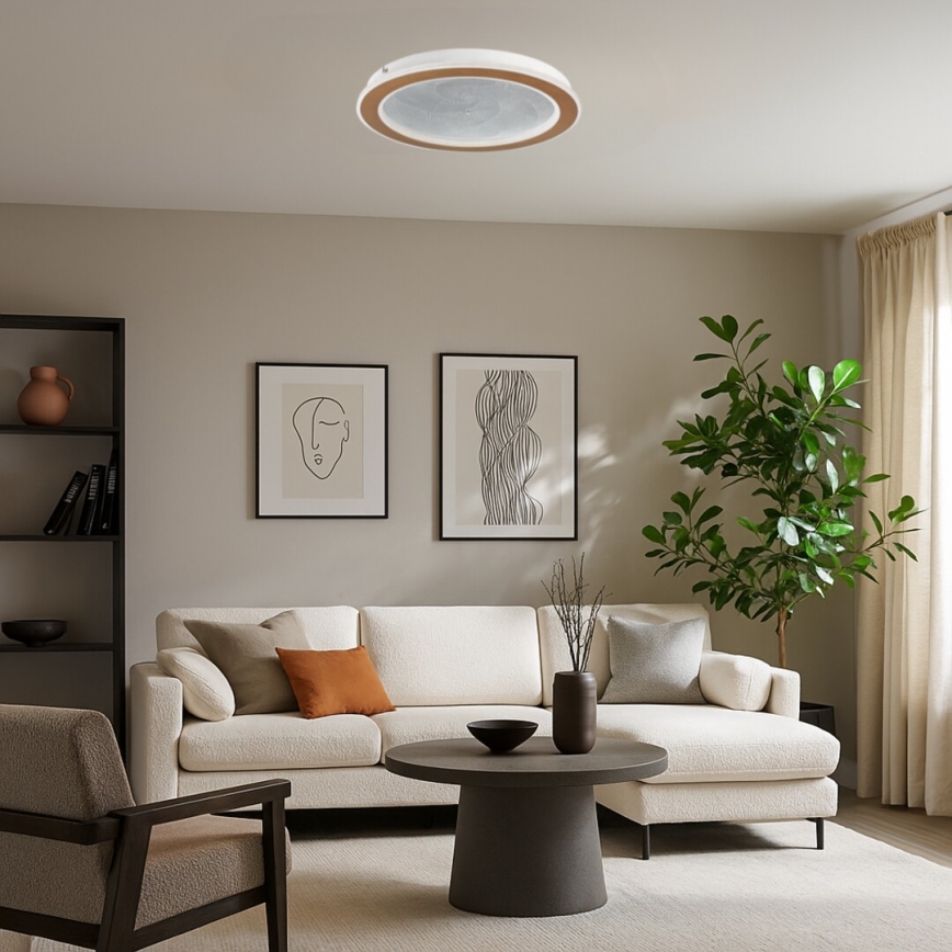 Rabalux - Plafoniera LED dimmerabile LED/24W/230V 3000-6500K Ø 40 cm + telecomando