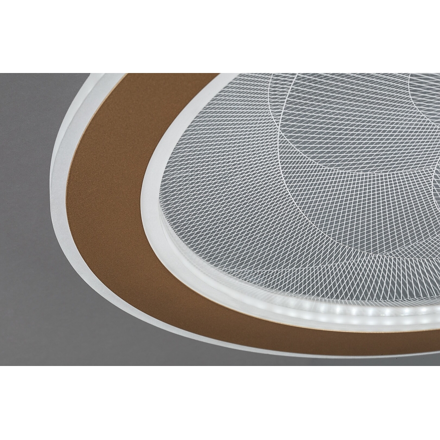 Rabalux - Plafoniera LED dimmerabile LED/24W/230V 3000-6500K Ø 40 cm + telecomando