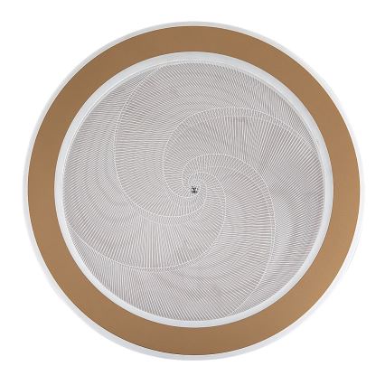 Rabalux - Plafoniera LED dimmerabile LED/24W/230V 3000-6500K Ø 40 cm + telecomando