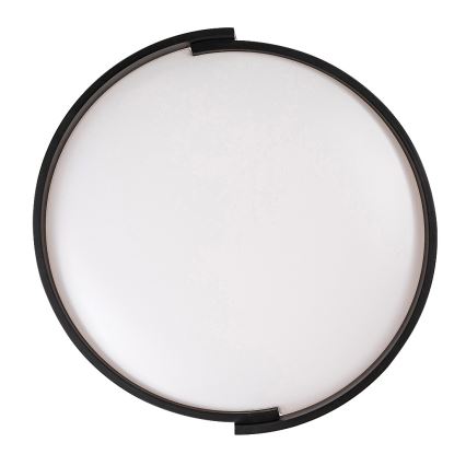 Rabalux - Plafoniera LED dimmerabile LED/24W/230V 3000-6500K + telecomando