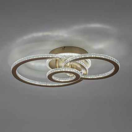 Rabalux - LED Plafoniera dimmerabile LED/40W/230V 3000-6500K + telecomando