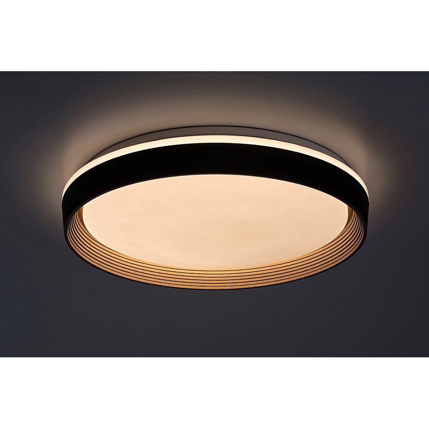 Rabalux - Plafoniera LED dimmerabile LED/48W/230V 3000-6500K + telecomando