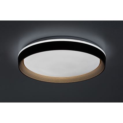 Rabalux - Plafoniera LED dimmerabile LED/48W/230V 3000-6500K + telecomando