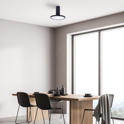 Rabalux - Plafoniera LED 20W/230V 3000K, nera, Ø 20 cm