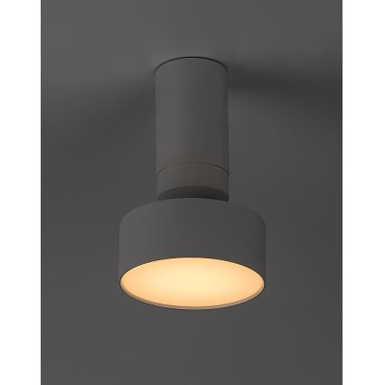 Rabalux - Plafoniera LED LED/10W/230V 3000K bianco