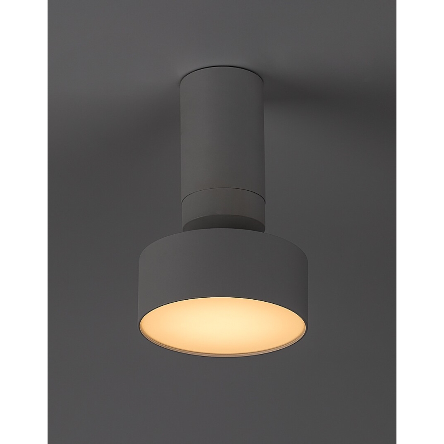 Rabalux - Plafoniera LED LED/10W/230V 3000K bianco