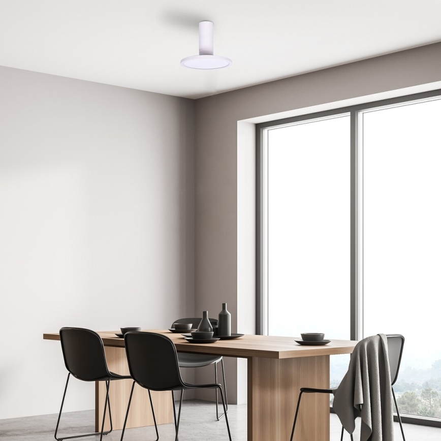 Rabalux - Plafoniera LED LED/20W/230V 3000K bianco