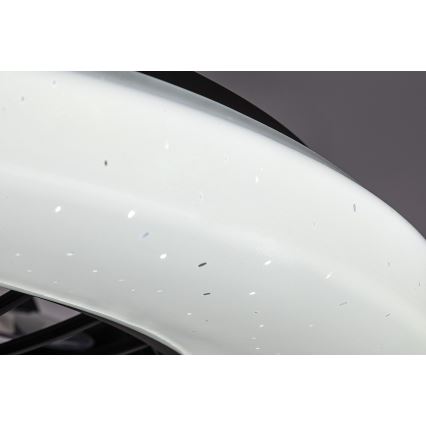 Rabalux - Lampada da soffitto dimmerabile a LED con ventilatore LED/48W/230V 3000-6500K + telecomando