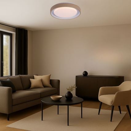 Rabalux - Plafoniera dimmerabile a LED 48W/230V 3000-6500K Ø 49,5 cm + telecomando