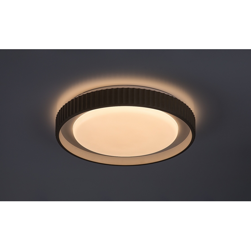 Rabalux - Plafoniera dimmerabile a LED 48W/230V 3000-6500K Ø 49,5 cm + telecomando