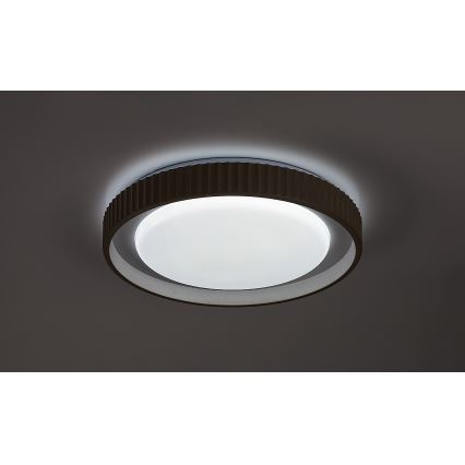 Rabalux - Plafoniera dimmerabile a LED 48W/230V 3000-6500K Ø 49,5 cm + telecomando