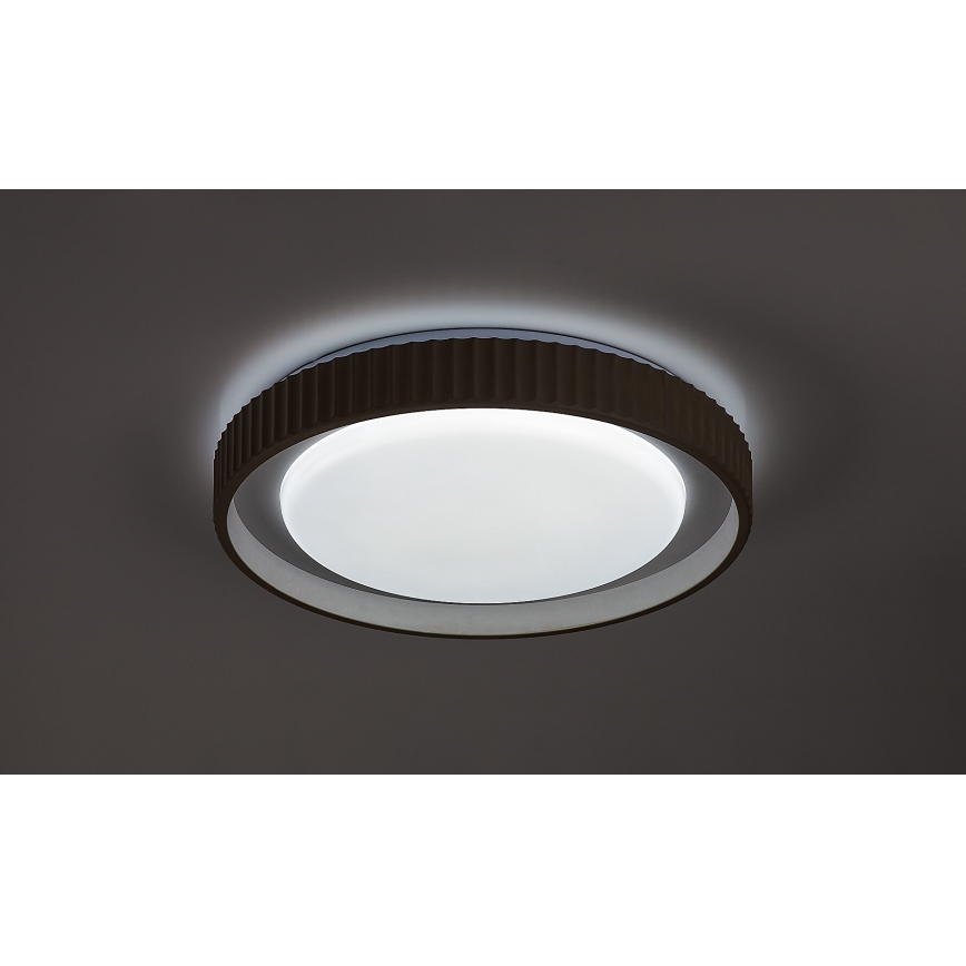 Rabalux - Plafoniera dimmerabile a LED 48W/230V 3000-6500K Ø 49,5 cm + telecomando
