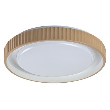 Rabalux - Plafoniera dimmerabile a LED 48W/230V 3000-6500K Ø 49,5 cm + telecomando