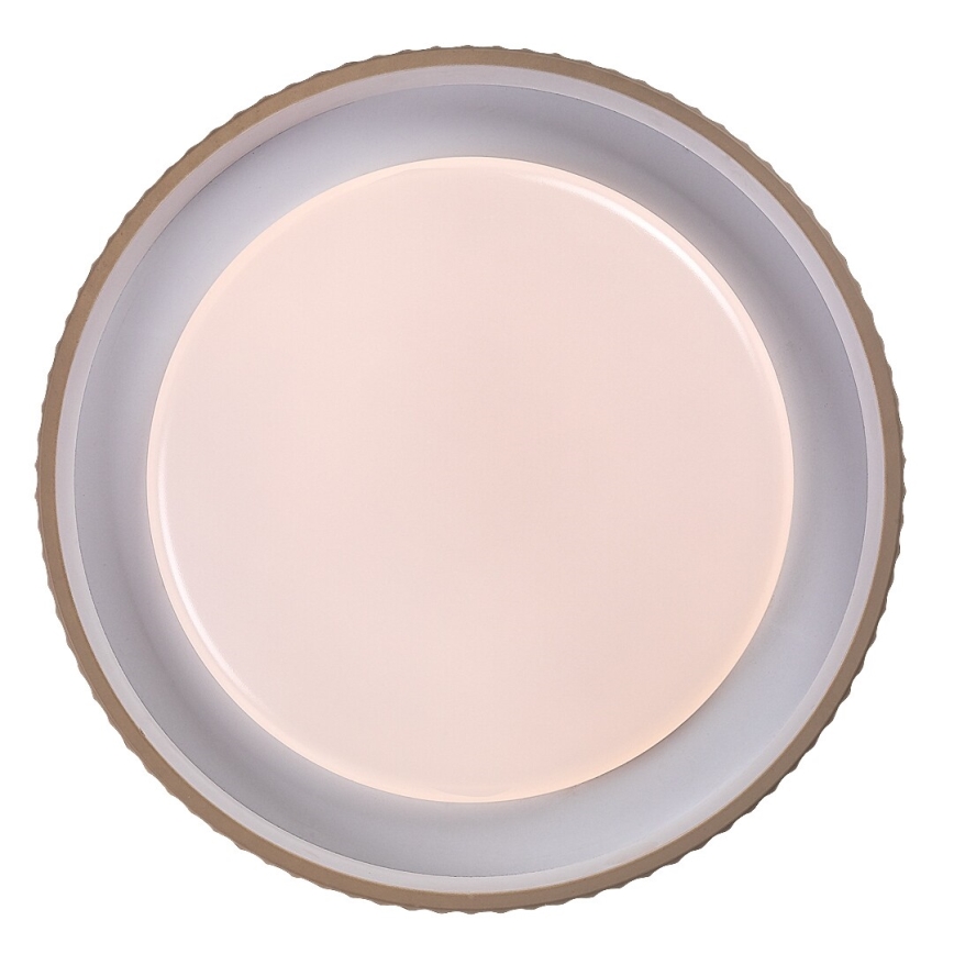 Rabalux - Plafoniera dimmerabile a LED 48W/230V 3000-6500K Ø 49,5 cm + telecomando