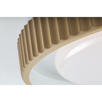 Rabalux - Plafoniera dimmerabile a LED 48W/230V 3000-6500K Ø 49,5 cm + telecomando