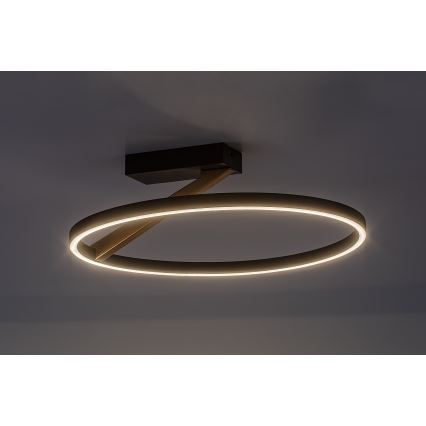 Rabalux - Plafoniera LED/24W/230V 3000K Ø 45 cm