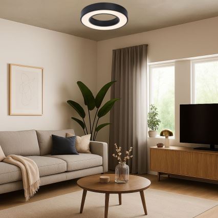 Rabalux - Plafoniera LED/24W/230V 3000/4000/6500K Ø 40 cm nera