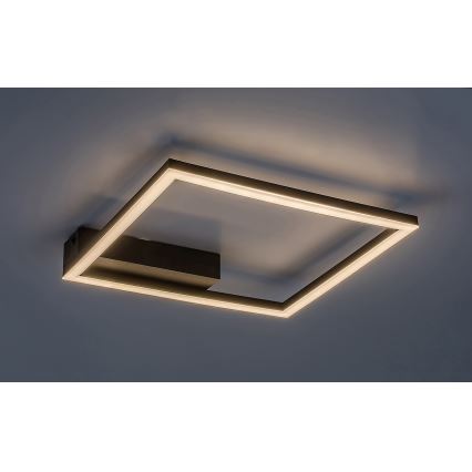 Rabalux - Plafoniera LED LED/24W/230V 3000K