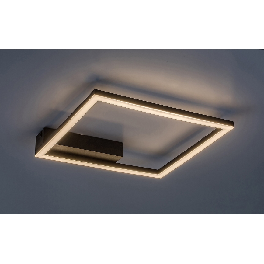 Rabalux - Plafoniera LED LED/24W/230V 3000K