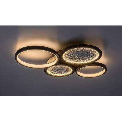 Rabalux - Plafoniera LED dimmerabile LED/40W/230V 3000-6500K + telecomando