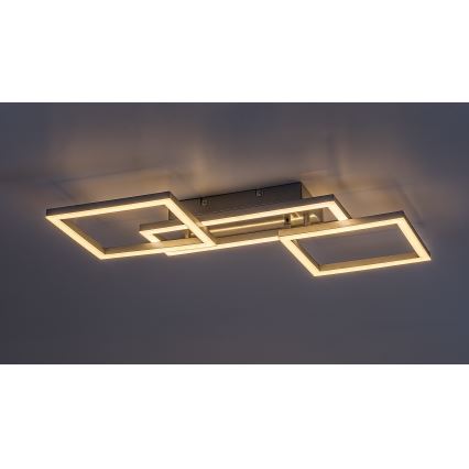 Rabalux - Plafoniera LED dimmerabile LED/40W/230V 3000-6500K + telecomando