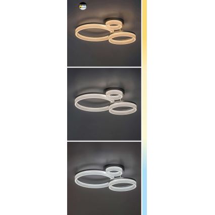 Rabalux - Plafoniera LED LED/24W/230V 3000/4000/6500K nero