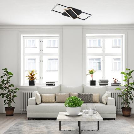 Rabalux - Plafoniera LED dimmerabile LED/40W/230V 3000-6500K + telecomando