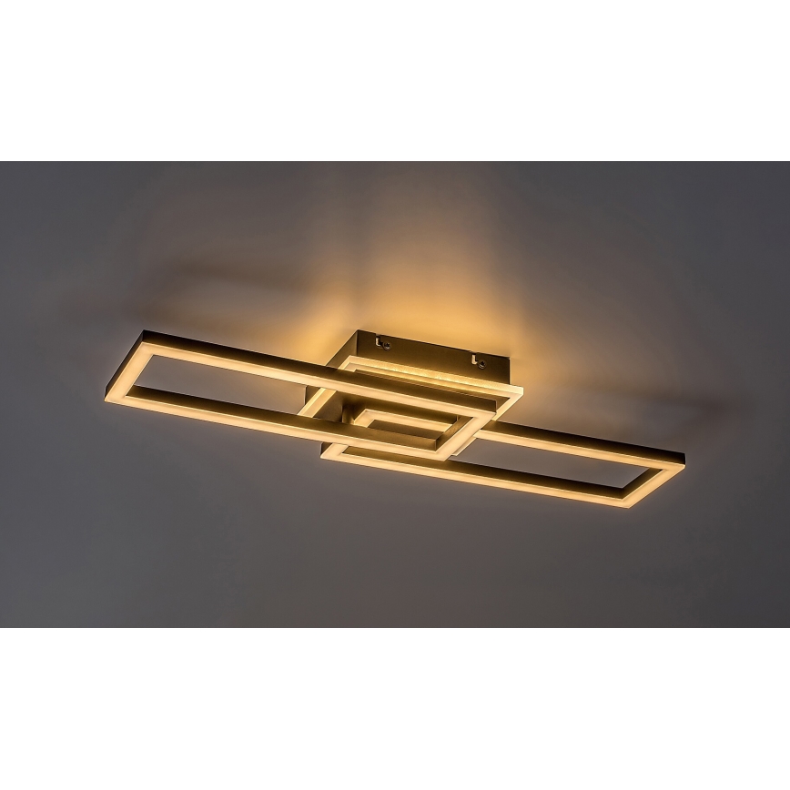 Rabalux - Plafoniera LED dimmerabile LED/30W/230V 3000-6500K + telecomando