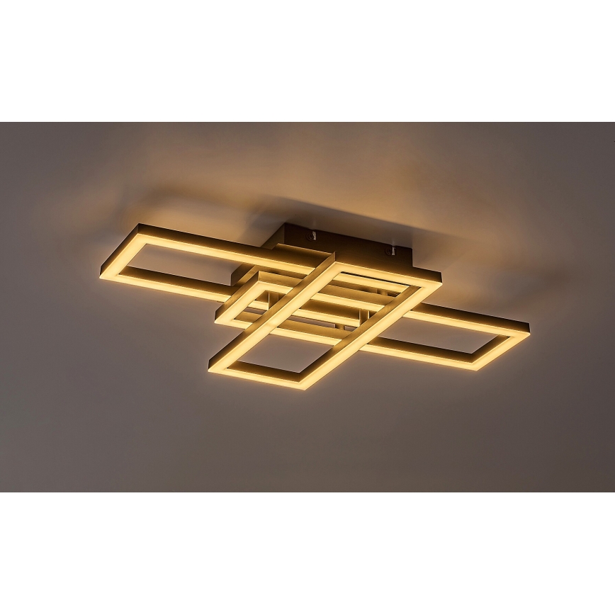 Rabalux - Plafoniera LED dimmerabile LED/40W/230V 3000-6500K + telecomando
